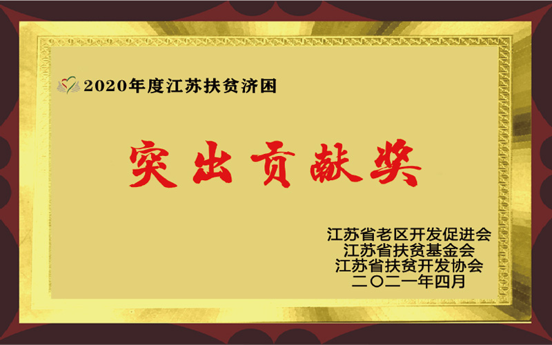 扶贫突出贡献奖2020
