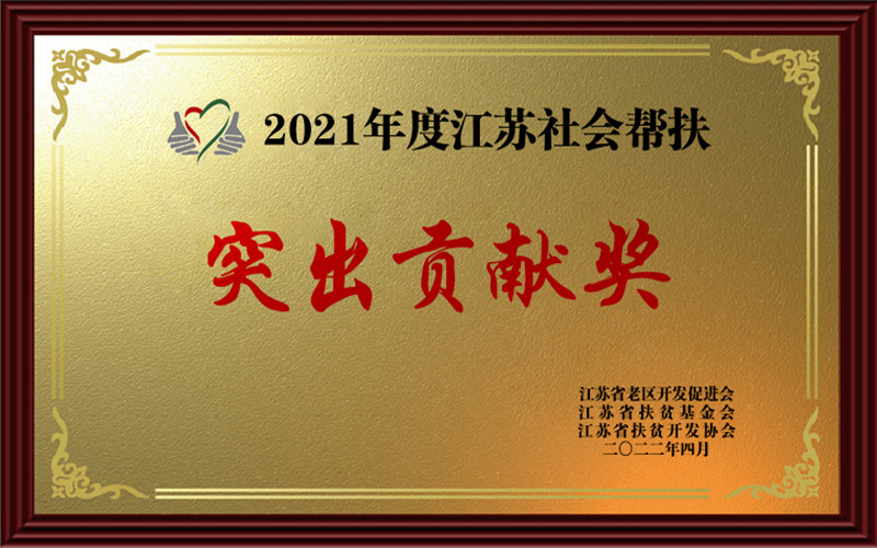 扶贫突出贡献奖2021
